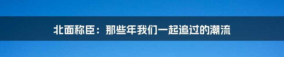 北面称臣：那些年我们一起追过的潮流