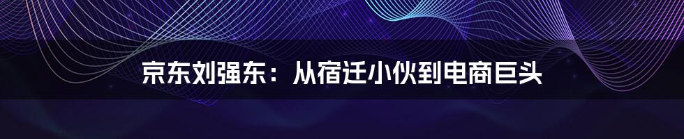 京东刘强东：从宿迁小伙到电商巨头