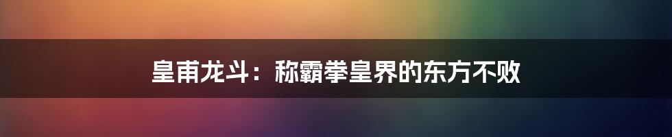 皇甫龙斗：称霸拳皇界的东方不败