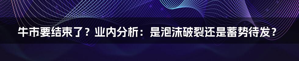 牛市要结束了？业内分析：是泡沫破裂还是蓄势待发？