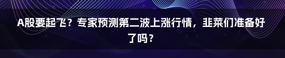 A股要起飞？专家预测第二波上涨行情，韭菜们准备好了吗？