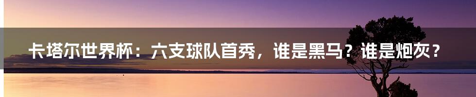 卡塔尔世界杯：六支球队首秀，谁是黑马？谁是炮灰？