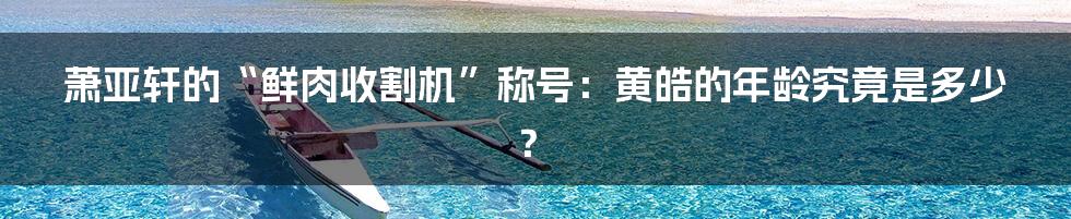 萧亚轩的“鲜肉收割机”称号：黄皓的年龄究竟是多少？