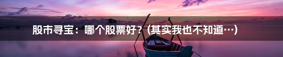 股市寻宝：哪个股票好？(其实我也不知道…)