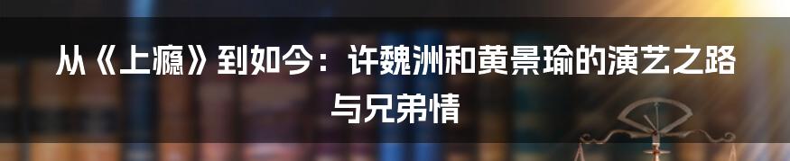 从《上瘾》到如今：许魏洲和黄景瑜的演艺之路与兄弟情