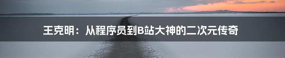 王克明：从程序员到B站大神的二次元传奇