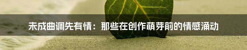 未成曲调先有情：那些在创作萌芽前的情感涌动