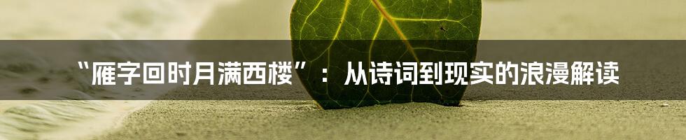 “雁字回时月满西楼”：从诗词到现实的浪漫解读