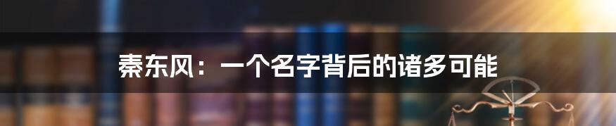 秦东风：一个名字背后的诸多可能