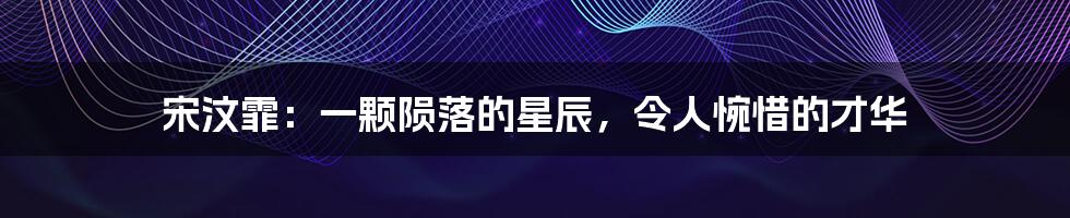 宋汶霏：一颗陨落的星辰，令人惋惜的才华