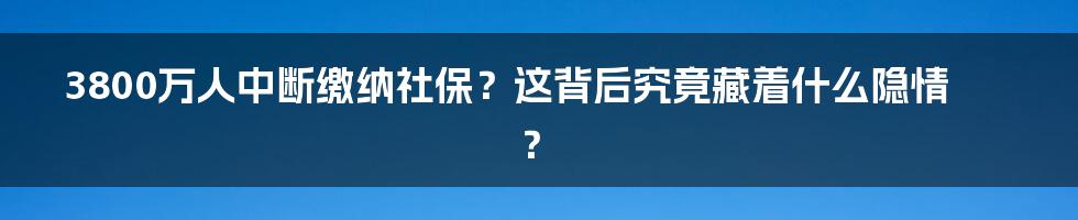 3800万人中断缴纳社保？这背后究竟藏着什么隐情？