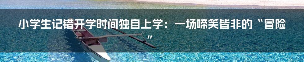 小学生记错开学时间独自上学：一场啼笑皆非的“冒险”