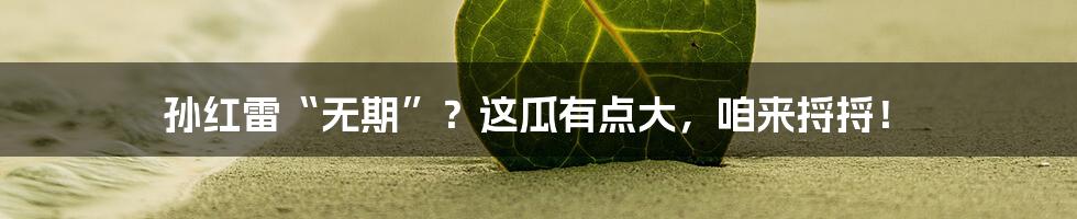 孙红雷“无期”？这瓜有点大，咱来捋捋！