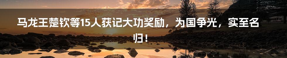 马龙王楚钦等15人获记大功奖励，为国争光，实至名归！