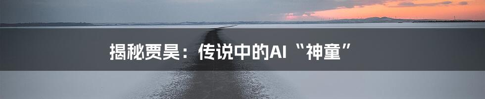 揭秘贾昊：传说中的AI“神童”