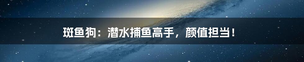 斑鱼狗：潜水捕鱼高手，颜值担当！