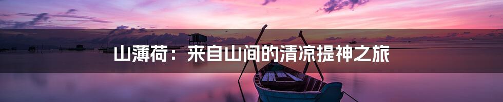 山薄荷：来自山间的清凉提神之旅