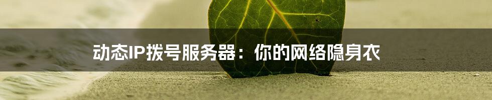 动态IP拨号服务器：你的网络隐身衣