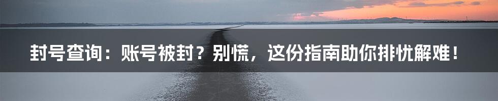 封号查询：账号被封？别慌，这份指南助你排忧解难！