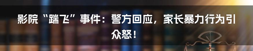 影院“踹飞”事件：警方回应，家长暴力行为引众怒！