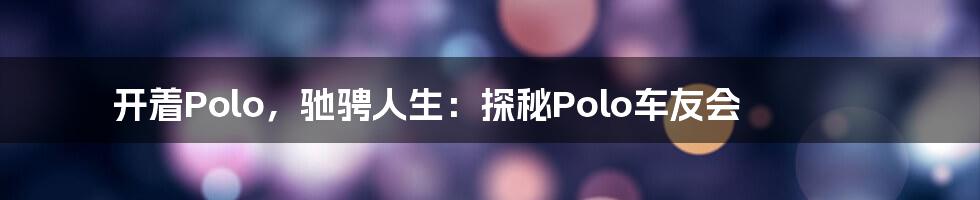 开着Polo，驰骋人生：探秘Polo车友会