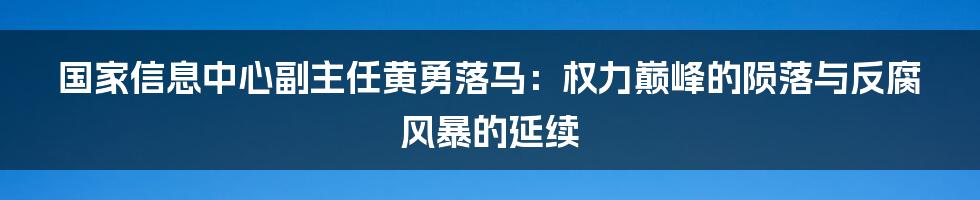 国家信息中心副主任黄勇落马：权力巅峰的陨落与反腐风暴的延续