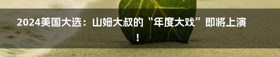 2024美国大选：山姆大叔的“年度大戏”即将上演！