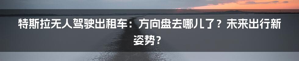 特斯拉无人驾驶出租车：方向盘去哪儿了？未来出行新姿势？