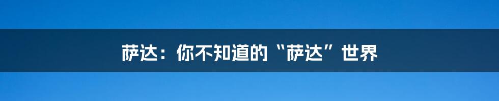 萨达：你不知道的“萨达”世界