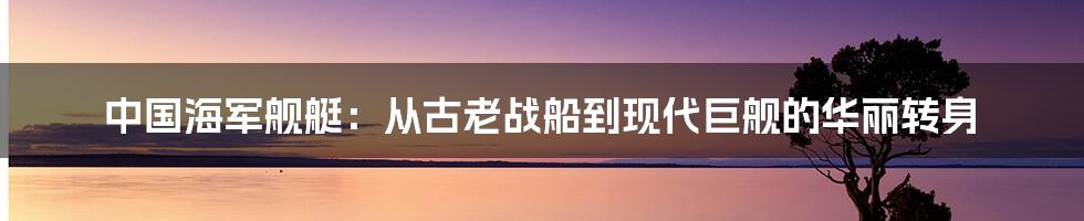 中国海军舰艇：从古老战船到现代巨舰的华丽转身