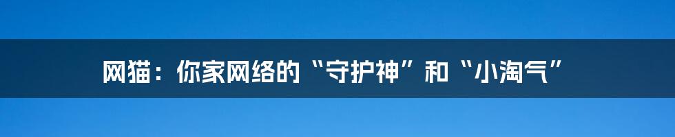 网猫：你家网络的“守护神”和“小淘气”