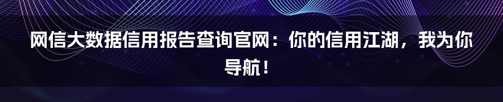 网信大数据信用报告查询官网：你的信用江湖，我为你导航！