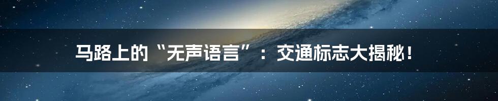 马路上的“无声语言”：交通标志大揭秘！