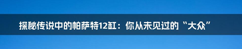 探秘传说中的帕萨特12缸：你从未见过的“大众”