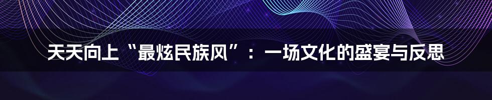 天天向上“最炫民族风”：一场文化的盛宴与反思