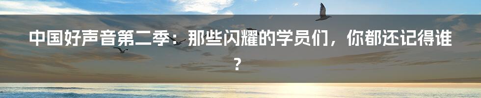 中国好声音第二季：那些闪耀的学员们，你都还记得谁？