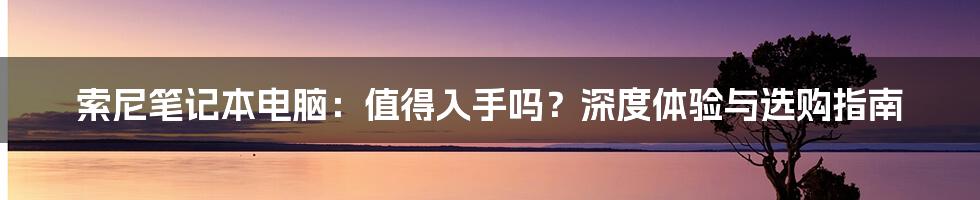 索尼笔记本电脑：值得入手吗？深度体验与选购指南