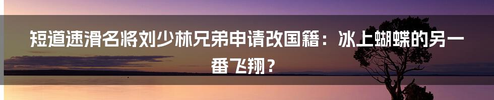 短道速滑名将刘少林兄弟申请改国籍：冰上蝴蝶的另一番飞翔？