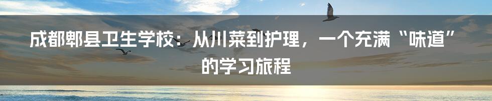 成都郫县卫生学校：从川菜到护理，一个充满“味道”的学习旅程