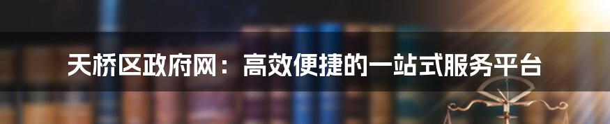 天桥区政府网：高效便捷的一站式服务平台