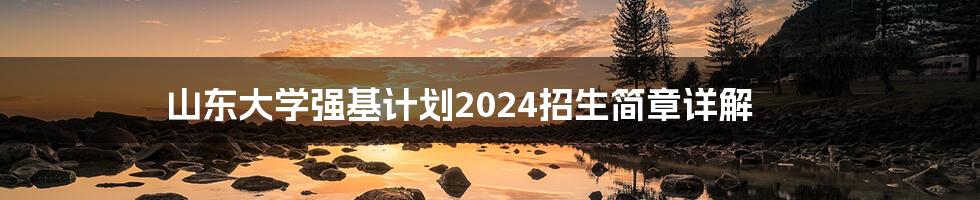 山东大学强基计划2024招生简章详解