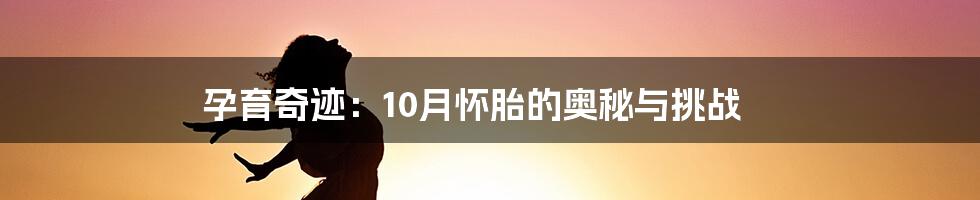 孕育奇迹：10月怀胎的奥秘与挑战