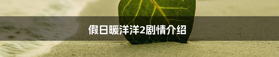 假日暖洋洋2剧情介绍