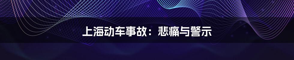 上海动车事故：悲痛与警示