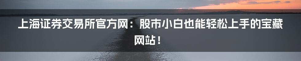 上海证券交易所官方网：股市小白也能轻松上手的宝藏网站！