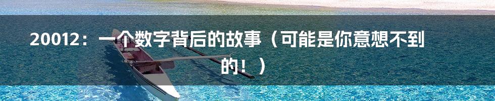 20012：一个数字背后的故事（可能是你意想不到的！）