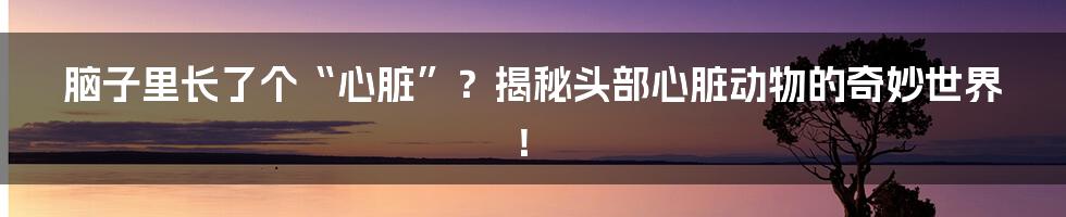 脑子里长了个“心脏”？揭秘头部心脏动物的奇妙世界！