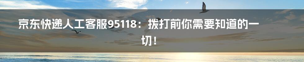 京东快递人工客服95118：拨打前你需要知道的一切！