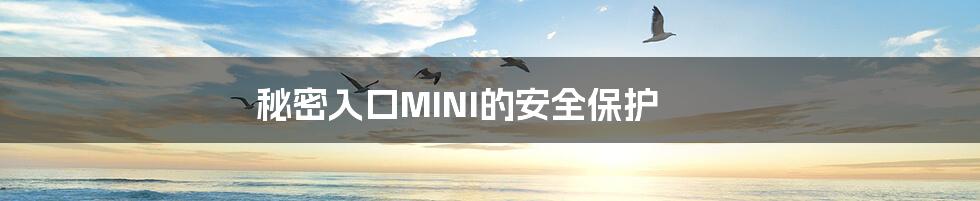 秘密入口MINI的安全保护