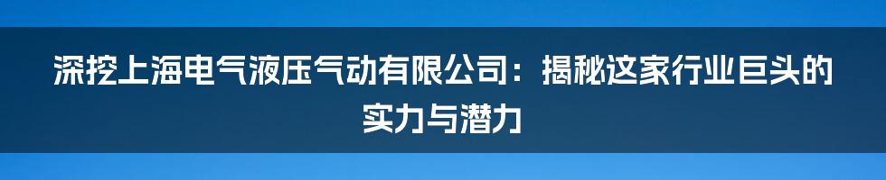 深挖上海电气液压气动有限公司：揭秘这家行业巨头的实力与潜力